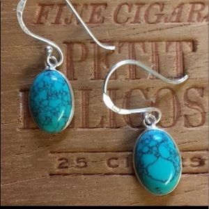 Spider Turquoise Earrings